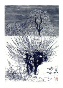 LANDSCHAFT