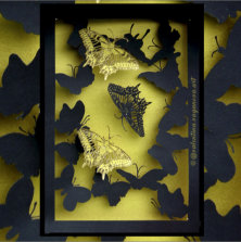 „SCHMETTERLINGE“ | Scherenschnitt | Papier | 210 x 29,7 cm | 2009