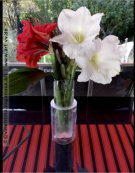 "BLUMEN" | 