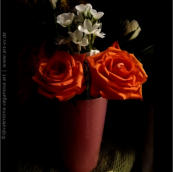 "BLUMEN" | 