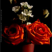 "BLUMEN" | 