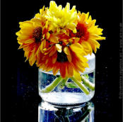 "BLUMEN" | 