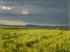 "LANDSCHAFTEN" | 