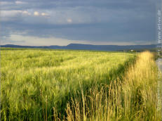 "LANDSCHAFTEN" | 