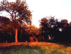 FOTOAUSSTELLUNG "LANDSCHAFTEN"