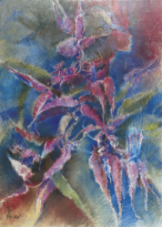 "BLUMENGEISTER" | B-III