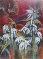 "BLUMENGEISTER" | B-IV