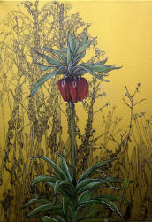 "BLUMEN" 05 "CHRYSANTHEMEN" Zeichnung Bleistift, Buntstifte 30 x 30 cm 22.07.2020