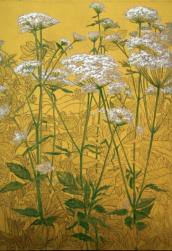 "BLUMEN" 05 "CHRYSANTHEMEN" Zeichnung Bleistift, Buntstifte 30 x 30 cm 22.07.2020