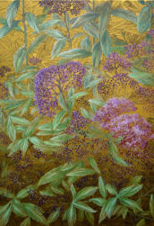 "BLUMEN" 05 "CHRYSANTHEMEN" Zeichnung Bleistift, Buntstifte 30 x 30 cm 22.07.2020