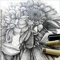"BLUMEN" 04 "CHRYSANTHEMEN" Zeichnung Fineliner 30 x 30 cm 10.07.2020