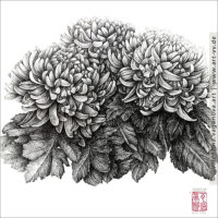 "BLUMEN" 01| Zeichnung | Fineliner | 30 x 30 cm | 08.06.2020