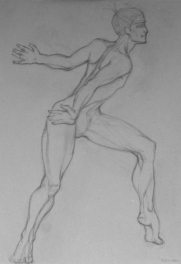 "Harlekin"  | Zeichnung | Bleistift | 501 x 70 cm | XXXX