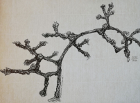 "TRAUBEN.TRAUBENKAMM" | Zeichnung | Feineleiner | 21 x 29,7 cm A4 | 29.05.2020
